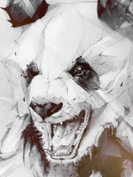 Александр Курандо | Николаев