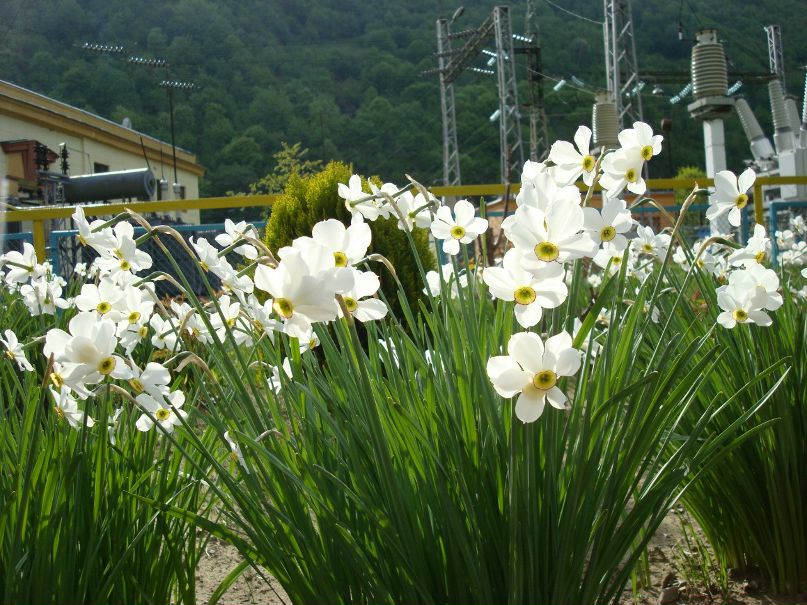 Екатерина Лобынцева | Киев