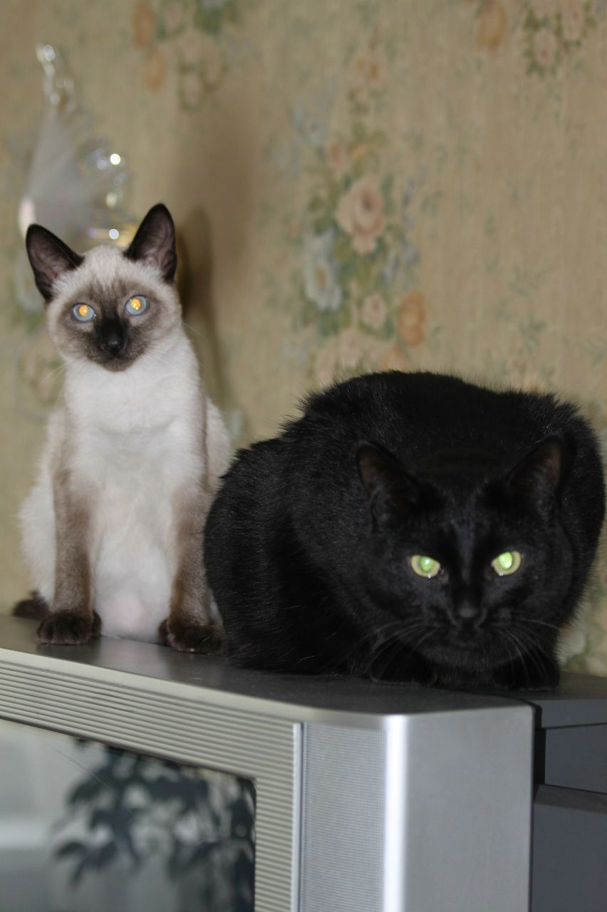 Наталья Зайцева | Екатеринбург