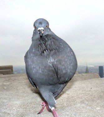 Виктория Ли | Хабаровск