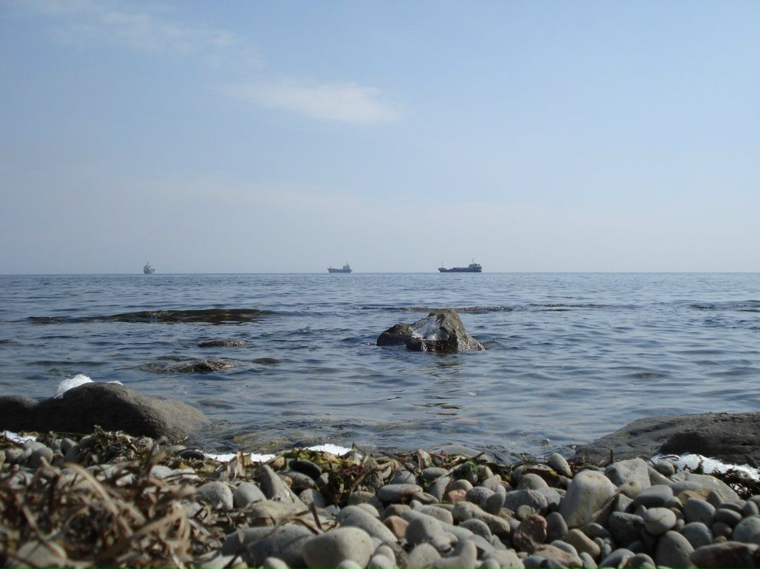 Михаил Курбатов | 