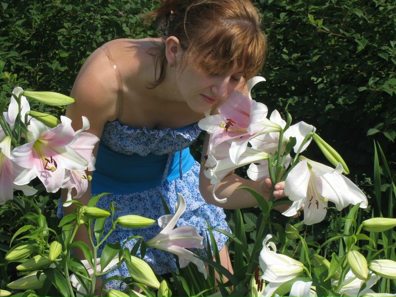 №96, Маргаритка Боброва, Балашиха №96, Маргаритка Боброва, Балашиха