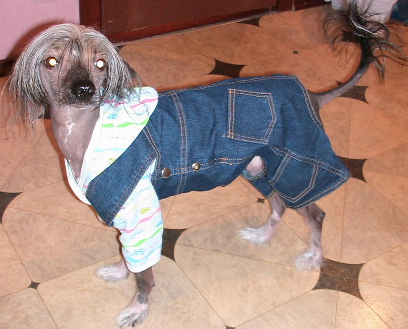 Ирина Озернова | Самара