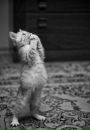 Фотография Виталий Иванов