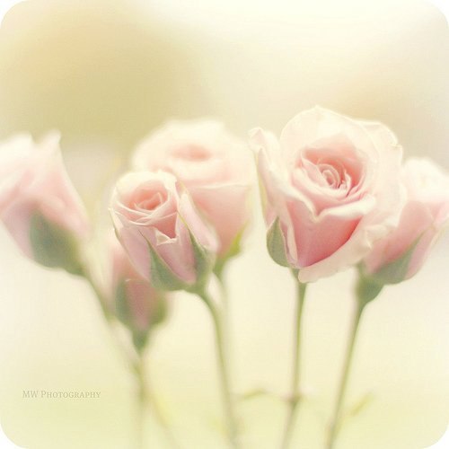 Екатерина Коваленко | Москва