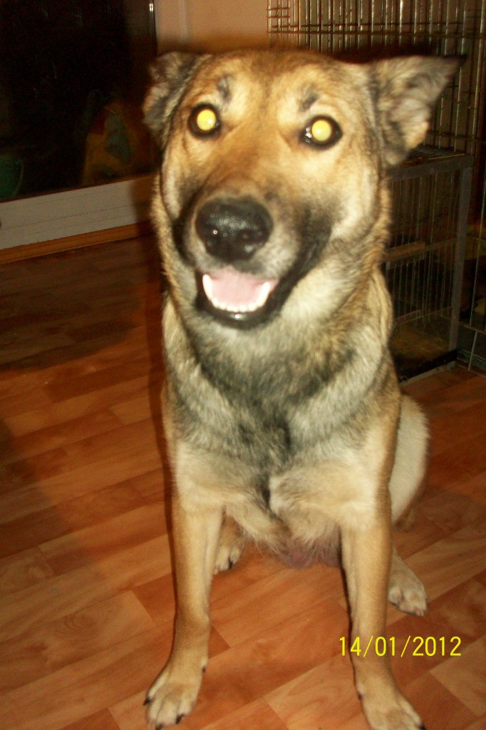 Анастасия Авдейкина | Екатеринбург