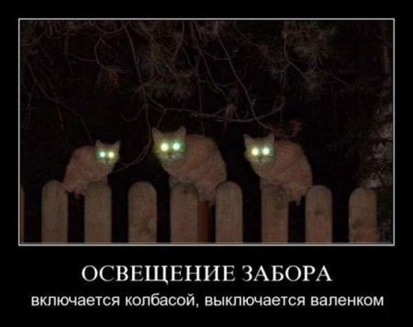 Вадим Шпилевский | Винница