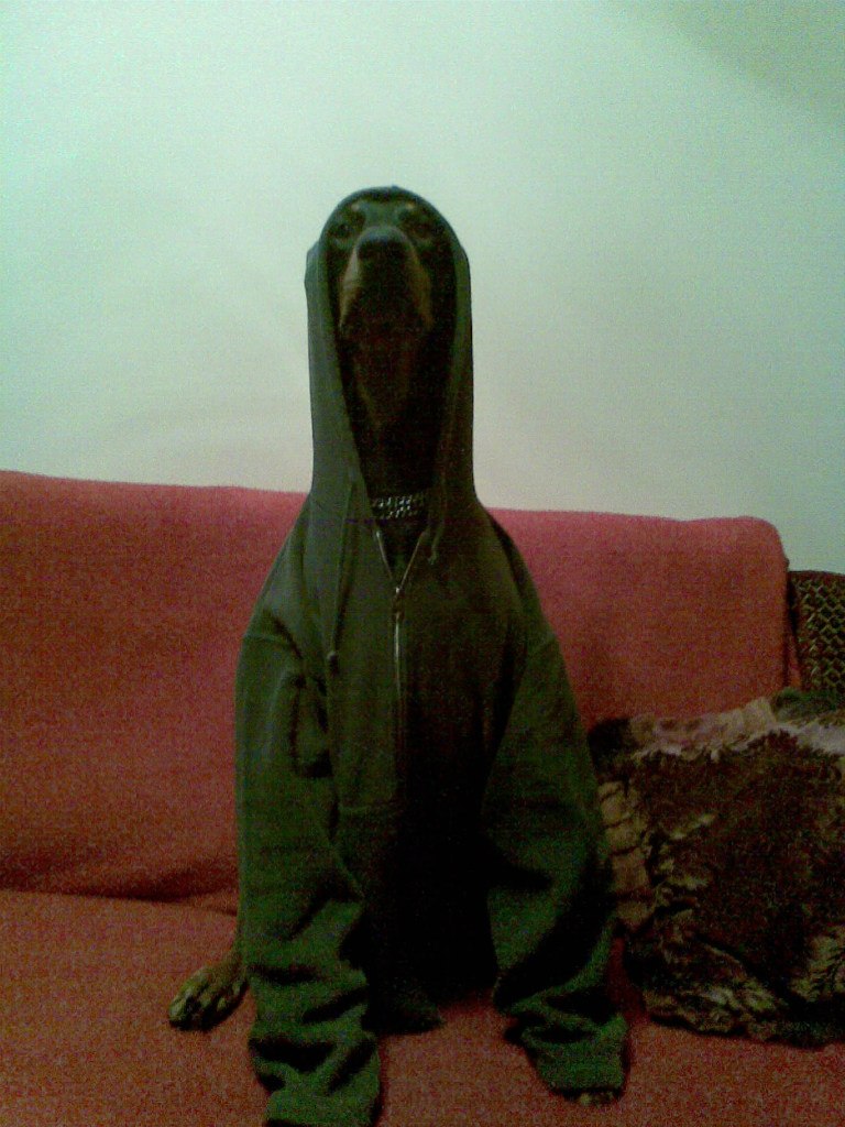 Саня Бланк | Яворов