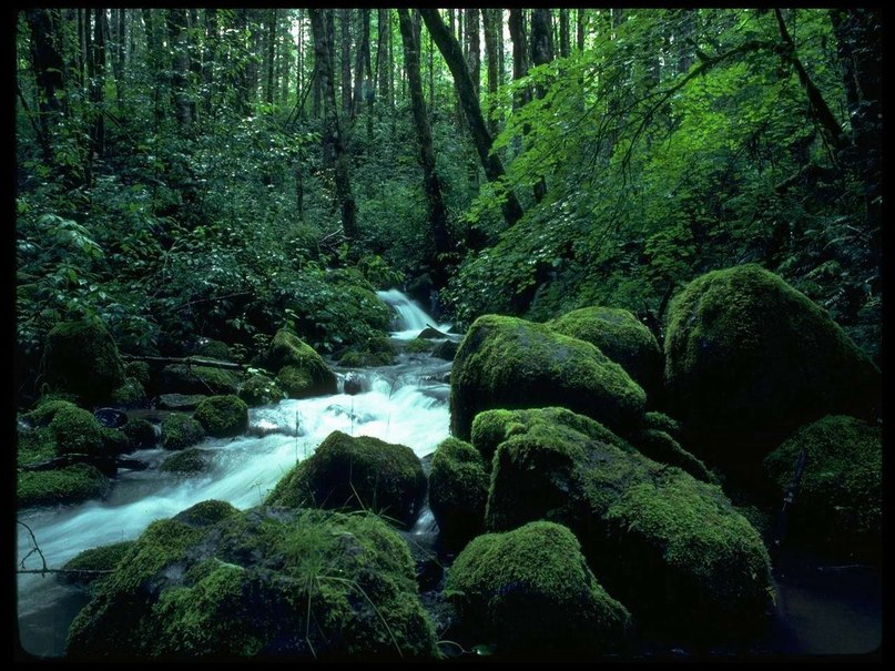 Александр Игнатьев | Москва