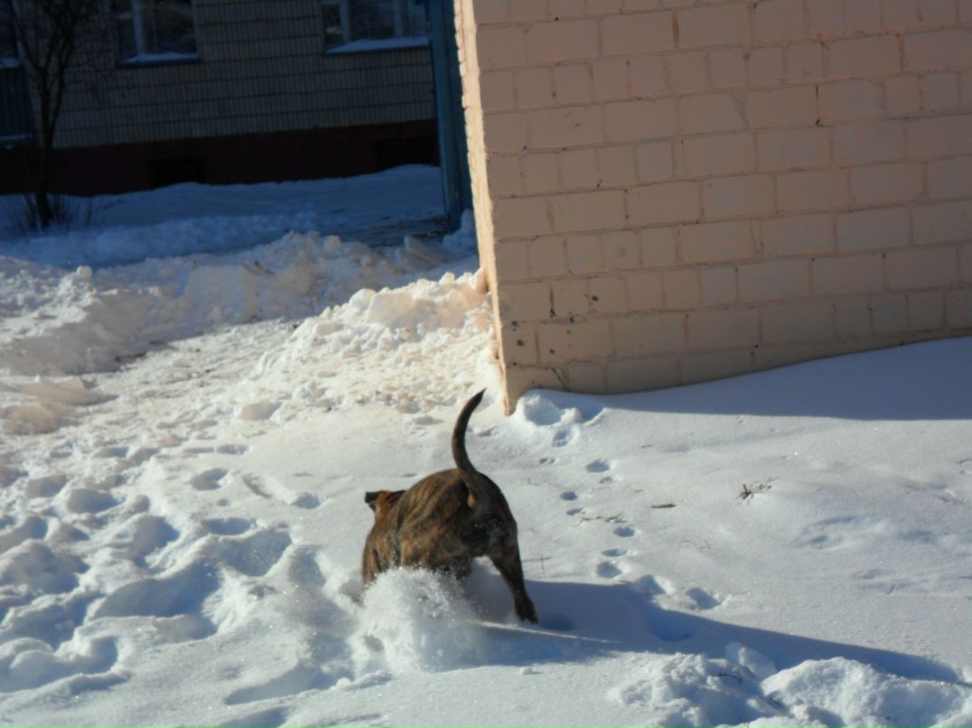 Александр Колодей 웃♥유 | Жлобин