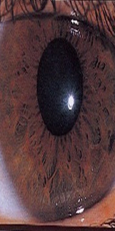 Виктор Викторов | Саров