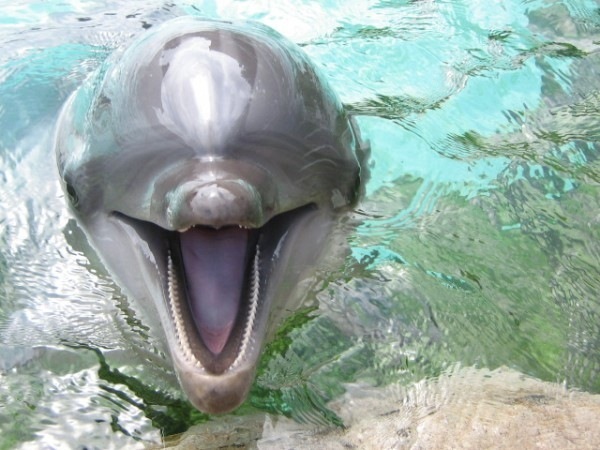 №47, Яна Портная, Fuengirola №47, Яна Портная, Fuengirola