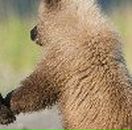 Анастасия Подвиженко | Москва