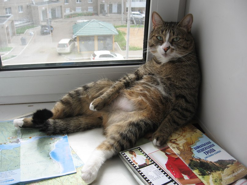 Елена Константинова | Москва