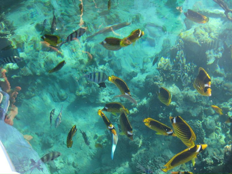 Ирина Михеева | Соликамск