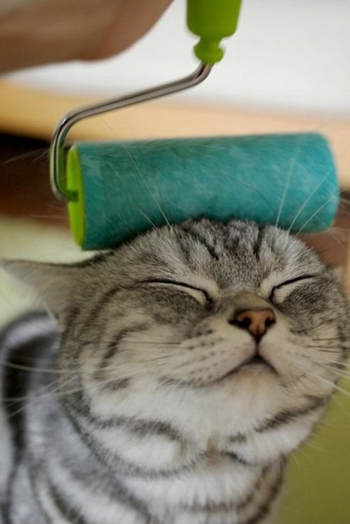 Оленька Скворцова | Москва