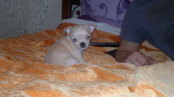 Светлана Алексеева | Санкт-Петербург