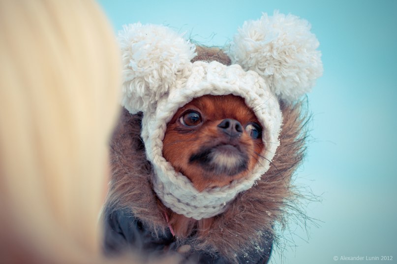 Катя Хэллиш | Рязань