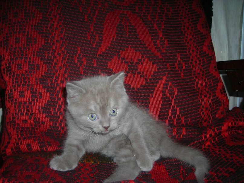 Александр Касьянов | Ульяновск