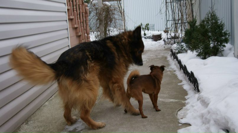Наталия Калугина | 