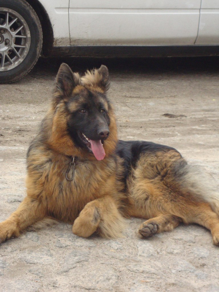 Виктория Лотоцкая | Киев