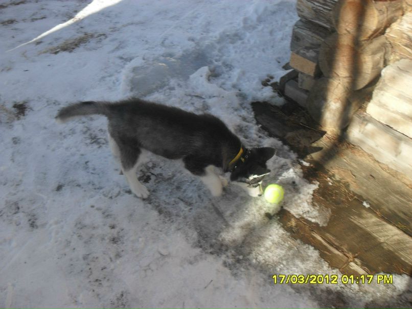 Ирина Вакуленко | Москва