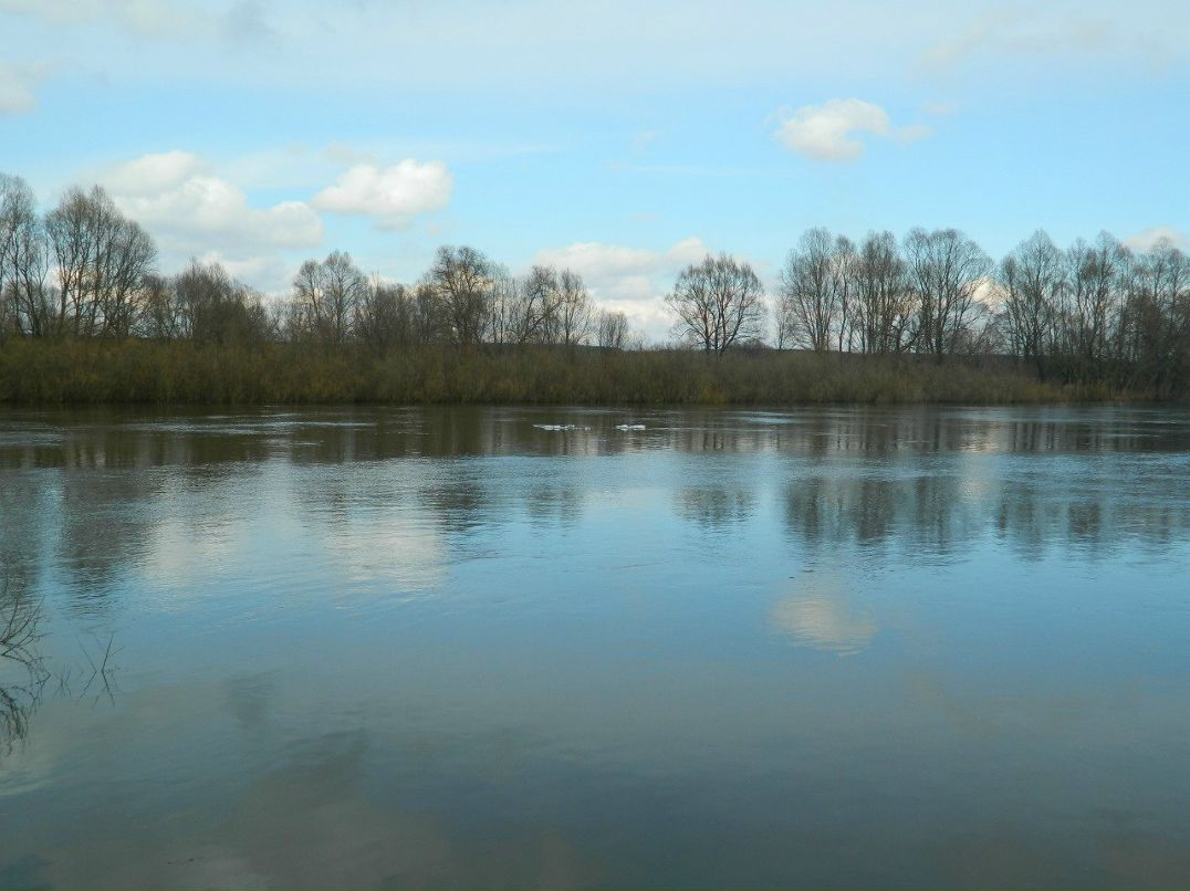 Алла Кобец | Новгород-Северский