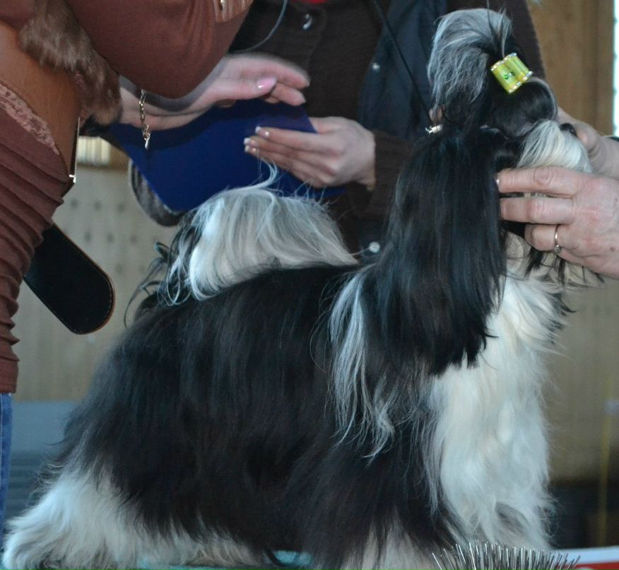 Оля Фартушна | Кривой Рог