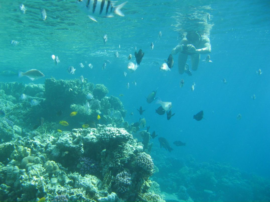 Надежда Кропачева | Киров