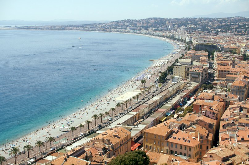 Никита Шеин | Sydney