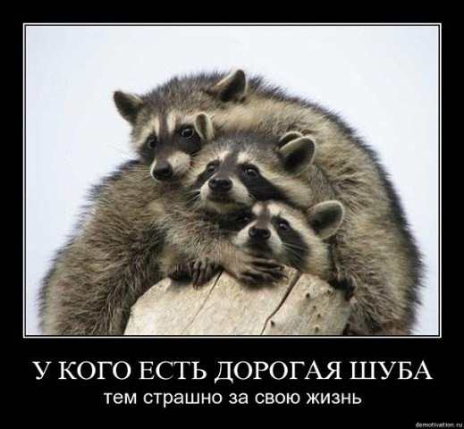 Юля Макунина | Подольск