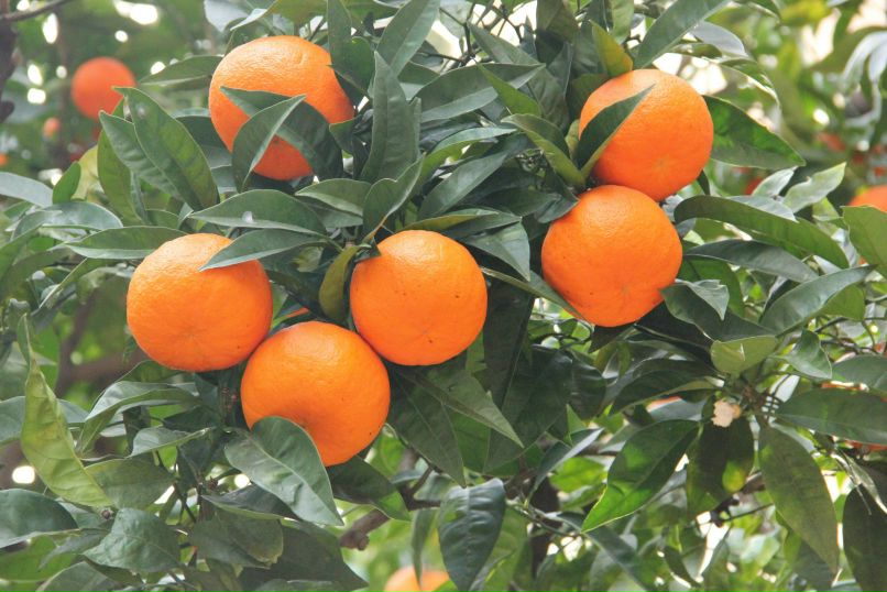 Яна Заец | Киев