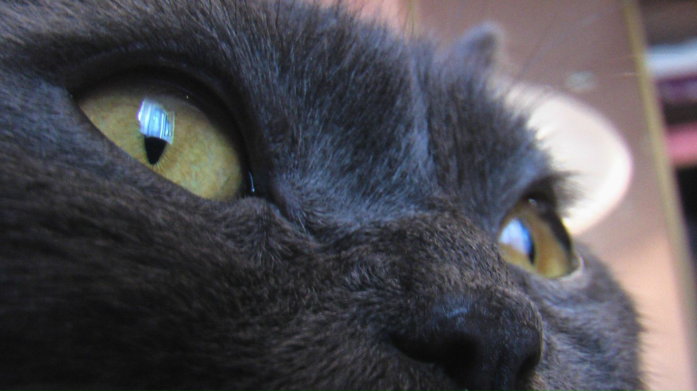 Александр Дмитриевич | Москва