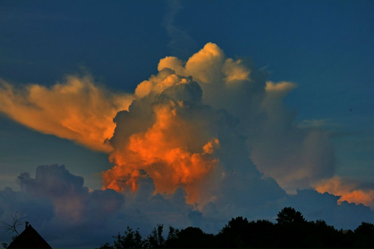 Олег Осим | Краснодар