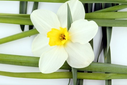 Анна Гоменюк | Киев