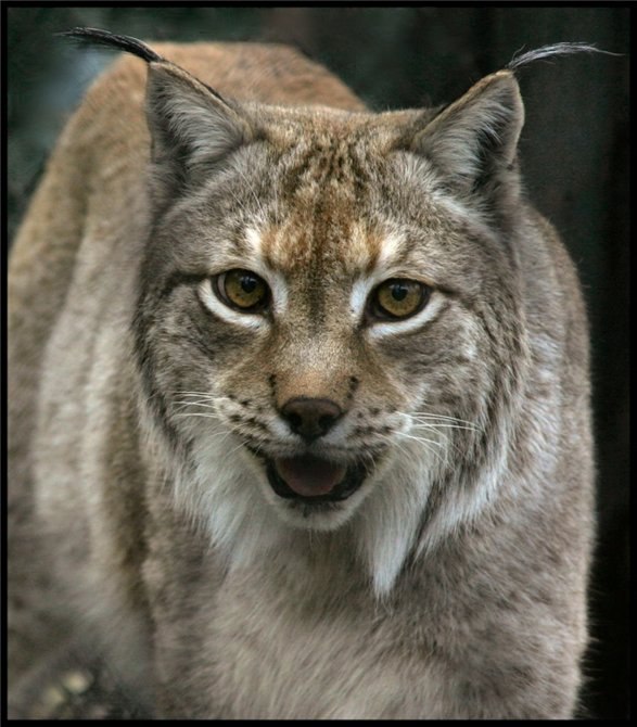 Christa Maly | Москва