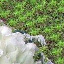 №70, Ирина Абисова, Евпатория №70, Ирина Абисова, Евпатория