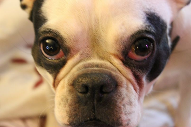 Никита Брага | Санкт-Петербург