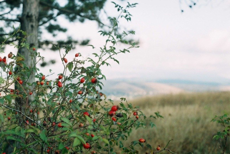 Екатерина Ушакова | Киев