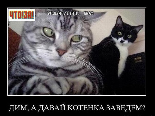 Владимир Ищук Василич | Винница