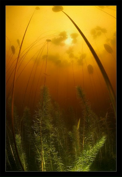 №174, Сергей Харитонов, 40 лет, Нижний Новгород №174, Сергей Харитонов, 40 лет, Нижний Новгород