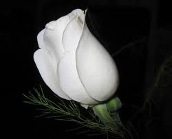 Мемет Усеинов | Симферополь