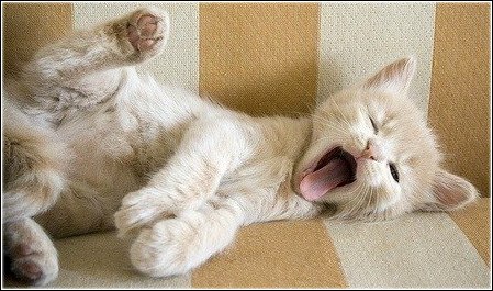 Maks Dokashenko ♍ | Кременчуг