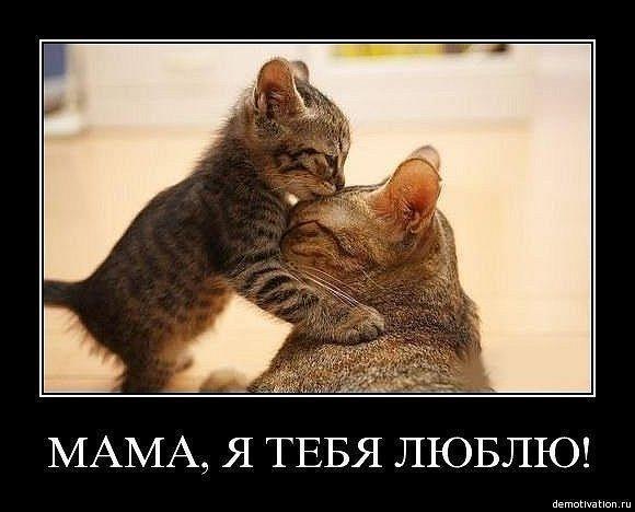 №47, Натали Продченко, Киев №47, Натали Продченко, Киев