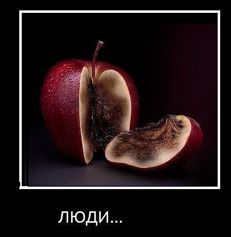 №37, Тонечка Макарчук, Киев №37, Тонечка Макарчук, Киев