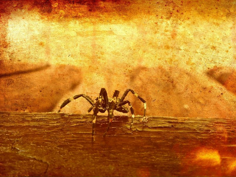 №95, Константин Дворак, 40 лет, Минск №95, Константин Дворак, 40 лет, Минск