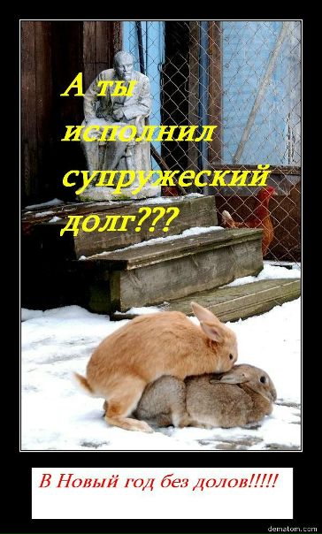 №52, Лена Жушман, Самара №52, Лена Жушман, Самара