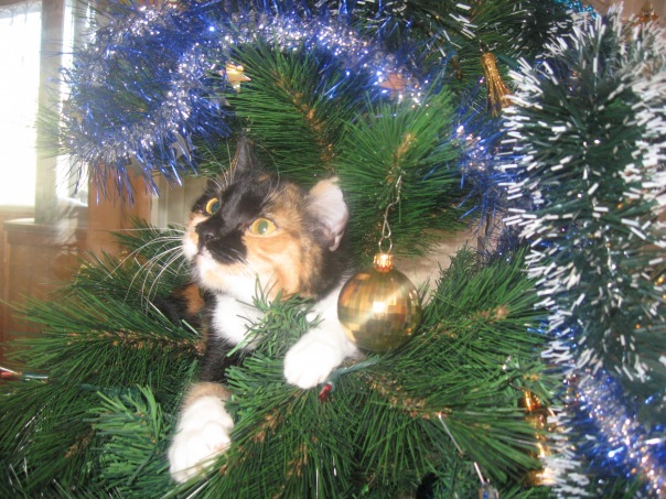 №79, Улита Марченко, 26 лет, Екатеринбург №79, Улита Марченко, 26 лет, Екатеринбург