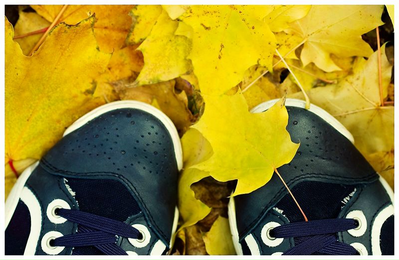 №106, Ия Волкова, Москва, Россия №106, Ия Волкова, Москва, Россия