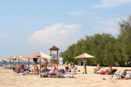 Роман Михайлов | Новосибирск